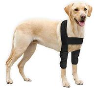 Zaslan Tutore per gomito per cani - Protezione per gomito e spalla per cani, igromi gomiti, displasia, osteoartrite, calli gomito, nero