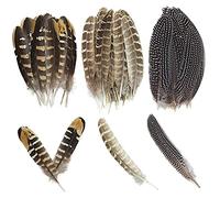 Zasvec Piume Decorative Lunghe 30 pezzi Piume di Fagiano Piume di Pollo Naturale Fagiano Piume Piume Artigianali Assortite Naturali Piume Colorate per Artigianato Home Decoration Party 15-25cm