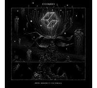 Zatokrev ...Bring Mirrors to the Surface 12" Album