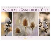 Zauber vergänglicher Blüten (Tischkalender 2027 DIN A5 quer), CALVENDO Monatskalender: Momente der Stille und Schönheit