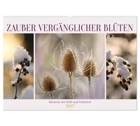 Zauber vergänglicher Blüten (Wandkalender 2027 DIN A2 quer), CALVENDO Monatskalender: Momente der Stille und Schönheit