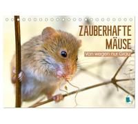 Zauberhafte Mäuse: Von wegen nur Grau (Tischkalender 2026 DIN A5 quer), CALVENDO Monatskalender: Die Maus: Possierlicher Plagegeist