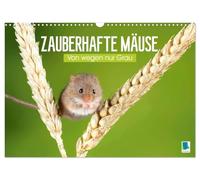 Zauberhafte Mäuse: Von wegen nur Grau (Wandkalender 2026 DIN A3 quer), CALVENDO Monatskalender: Die Maus: Possierlicher Plagegeist