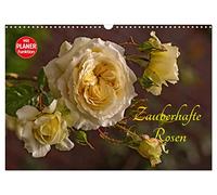 Zauberhafte Rosen (Wandkalender 2026 DIN A3 quer), CALVENDO Monatskalender: Zauberhafte Rosenfotos begleiten Sie durchs Jahr.