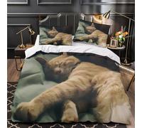 ZAWPPEUIO Sleeping Cat copripiumino 3 Pezzi stampa 3D ultra microfibra con cerniera nascosta cozy Indoor Set Di Copripiumino con federa soffice ariosa for bambini King（220x240cm）