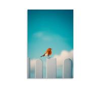 ZBBZJYHH Decorazione artistica da parete moderna da appendere con un pettirosso su un semplice recinto bianco, solo sotto un vasto cielo mattutino blu cipria. Poster decorativo da appendere alla