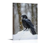 ZBBZJYHH Poster decorativo da appendere alla parete con corvo appollaiato nella neve, piume nere vivaci contro un inverno bianco olio. Poster decorativo artistico moderno da appendere (20 x 30 cm)
