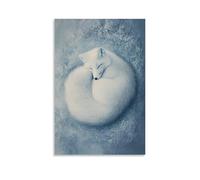ZBBZJYHH Una volpe artica bianca innevata si trova arricciata su uno sfondo grigio-blu gelido, la coda che forma una spirale perfetta di pace invernale. Poster artistico moderno da appendere alla
