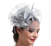 ZBIianxer Teaparty Cocktails Partito Mesh Capelli Clip Femminile Mesh Fascinator Copricapo Ruolo Giocare Accessori Copricapo
