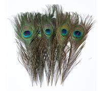 ZBORAVPIX Piume di Pavone, Piume di Pavone Multicolore, Varie Misure, Confezione da 10 a 100 Pezzi for Artigianato e Decorazione(25-30cm,20 PCS)