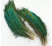 ZBORAVPIX Piume di Pavone, Piume di Pavone Spada Naturali di Diverse Dimensioni for la Decorazione(10Pcs)