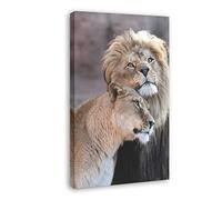 ZBYYFC Stampe Quadri 60 * 90cm Senza Cornice Poster per camera Poster con animali estetici Poster su tela Leonessa e leone maschio