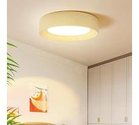 ZBZFGE Fissaggi della Lampada a soffitto Circolo Rotondo Vicino alle luci del soffitto Light a soffitto Moderno Compatibile con Sala da Pranzo Sogro di Studio per la Camera da Letto (