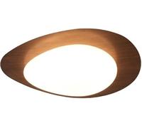 ZBZFGE Giapponese Semplice luci a soffitto a Acqua Gira infissili a soffitto a soffitto - - Vicino alle lampade a soffitto la Luce del soffitto Artistico