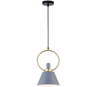 ZBZFGE Industrial Retro Lampada a sospensione - Nero, Bianco, Verde, Grigio