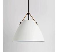 ZBZFGE Lampadari, Lampada in Metallo Colori creativi, lampadario Montaggio a Filo, soffitto, Luce Moderna Sospensione di Ferro Semplice, apparecchio l'illuminazione per la Decorazione del