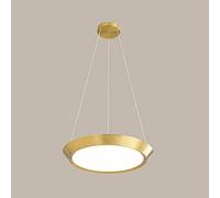 ZBZFGE Luce Leggero Luxury Yagli LEDELIER LED Stepless Dimmabile Anello di Metallo Dimmetti Appesa Minimalista Moderno - Decorazione sospeso per la Lanterna Sala da Pranzo Soggio