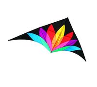 ZCABYBD Aquilone Spedizione 2m Grande Delta Arcobaleno con Code da 10m Linea di Volo Aquiloni per Bambini Professionali Rimbalzo dell'Aria-1 Pz