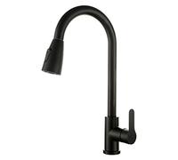 ZCCZJS 304 rubinetti cucina in acciaio inossidabile cucine cucine per acqua fredda miscelatore 2 spruzzatore di funzioni spruzzatore singolo tiro fuori cucina cucina (Y-36870-C)