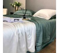ZCCZJS Summer Simple Ice Silk Quilt Set, Comodo Coperta di condizionamento Aria-Lavabile Fresco, Set di Trapunta Traspirante Leggera (Inclusa Trapunta Estiva, Due federe R-1,8 m