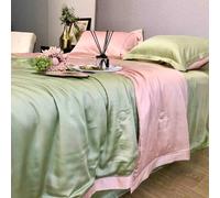 ZCCZJS Summer Simple Ice Silk Quilt Set, Comodo Coperta di condizionamento Aria-Lavabile Fresco, Set di Trapunta Traspirante Leggera (Inclusa Trapunta Estiva, Due federe R-1,8 m