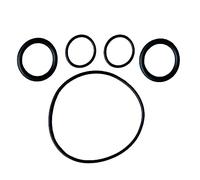 ZCLYHT 5 pezzi per Lay-Z-Spa per SaluSpa per pompa acqua Coleman Seal Rebuild O-ring Kit #P4071 58113 E02 Hot Tub Pump Pompa acqua Seal
