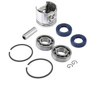 ZDETGU Kit Olio per Cuscinetti Fasce Elastiche da 37 Mm per Parti di Ricambio Ad Alta Durezza 017 MS170 per Tagliaerba Agricoltura Forestale