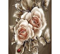 Zdklfm69 Dipingi con i Numeri Dipingere con i Numeri Fiori Fai da Te Adulti per disegnare su Tela Immagini dipinte a Mano con i Numeri Decorazione della Parete della casa Regali 40x50cm