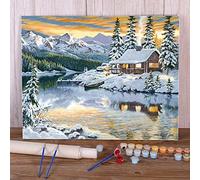 Zdklfm69 Dipingi con i Numeri Dipingere con i Numeri Paesaggio Invernale Neve Paesaggio Fai da Te Colori acrilici Tela Pittura Decorazione della Parete Disegno (Nessuna Cornice) 40x50cm