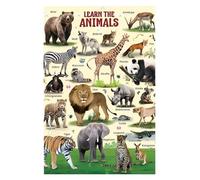ZDVHOMCB What's Your Favorite Wild Animal? Educational Poster - Interactive Wildlife Chart for Circle Time, Library, or Early Childhood Class Unframed,12x18inch(30x45cm)