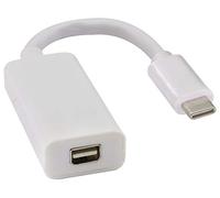 zdyCGTime cavo da USB C3.1 a mini dp/Displayport,convertitore da maschio di tipo C a femmina DP 4K@60Hz,Cavo audio video da USB C a DP,Compatibile con tablet telefono USB-C.(Bianca/1Pezzo)
