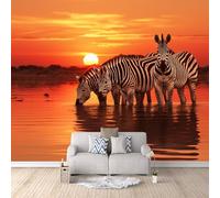 Zebra Carta da Parati 3D tessuto non tessuto Animali Del Fiume Al Tramonto Zebra Murale alla carta da parati fotografica, per Soggiorno Camera Camera dei Bambini Decorazione 400×280cm