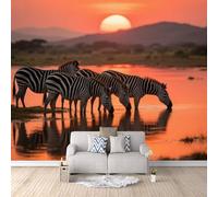Zebra Carta da Parati 3D tessuto non tessuto Zebra Sulla Riva Del Fiume Al Tramonto Murale alla carta da parati fotografica, per Soggiorno Camera Camera dei Bambini Decorazione 400×280cm