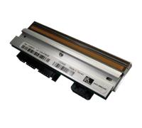 Zebra P1004236 Nuovo