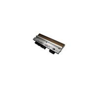 Zebra P1004237 testina stampante Trasferimento termico (PRINTHEAD 300DPI 170XI4