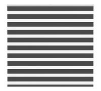 Zebra Persiana avvolgibile con catenella, 100% poliestere, protezione solare e da sguardi indiscreti per finestre, facile da montare con staffe o viti, regolabile in modo continuo