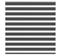 Zebra Persiana avvolgibile con paranco a catena, 100% poliestere, protezione da sguardi indiscreti e protezione solare per finestre, facile da montare, con montaggio a punta, regolabile in modo