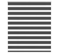 Zebra Persiana avvolgibile in 100% poliestere, protezione solare e da sguardi indiscreti con catenella per finestre, sicurezza per bambini, montaggio senza foratura, traslucido fino a completamente