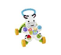 Zebra Primi Passi DLD91