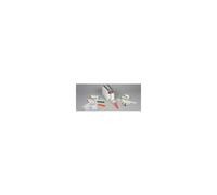 Zebra Z-Band Direct Verde (Z-BAND DIRECT ADULT 25X279MM - 200 BANDS/CARTR GREEN
