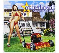 Zebrahead - Playmate Of The Year