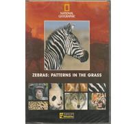 Zebras: Patterns in the Grass