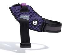 Zee.Dog Pettorina con Maniglia per Cani Wicked 2