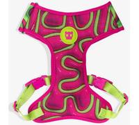 Zee.Dog Pettorina Regolabile Air Mesh per Cani Jelly H3D XS