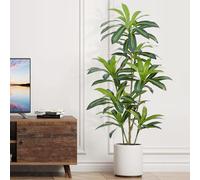 ZEEOZE Albero artificiale 150cm Artificiale Dracaena Pianta Finta Alta con Vaso Nero Piante Finte da Interno Per Interni esterno Soggiorno Camera da Letto Ufficio Casa Corridoio Decorazione (1Pz)