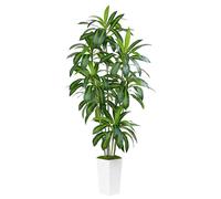ZEEOZE Pianta Artificiale Dracaena da 210cm Piante Finte da Interno Con Fioriera Alta Bianca Piante Artificiali da Esterno Per Soggiorno Camera da Letto Ufficio Casa Corridoio Decorazione (1Pz)