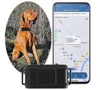 Zeerkeer GPS per Collare Cani 4G Tracker Cani in Tempo Reale, GPS Satellitare per Collare GPS Gatto e Cani, GPS Collare Impermeabile, Localizzatore GPS con App Gratuita, Collare GPS Senza Abbonamento
