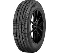 ZEETEX 205/55 R 16 91V ZT3000