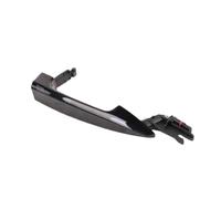 ZEgpDFqvM Maniglia per porta anteriore compatibile con X5 F15 XDrive28i 2015 2016 2017 2018 51217433843 51217433844(black)