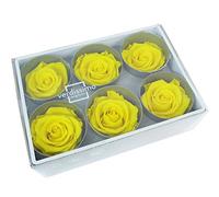 Zelda Bomboniere Pz 6 Rose Stabilizzate Gialle 6x6x6 Cm Naturali Fiori Wedding Decorazione Composizione